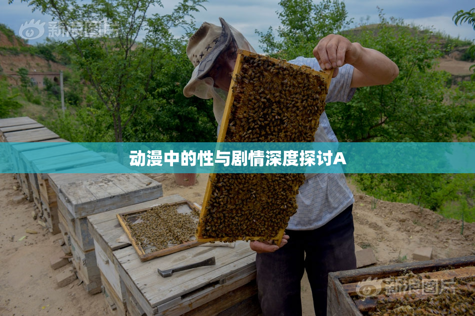 动漫中的性与剧情深度探讨A