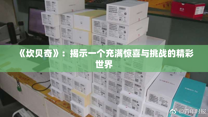 《坎贝奇》：揭示一个充满惊喜与挑战的精彩世界