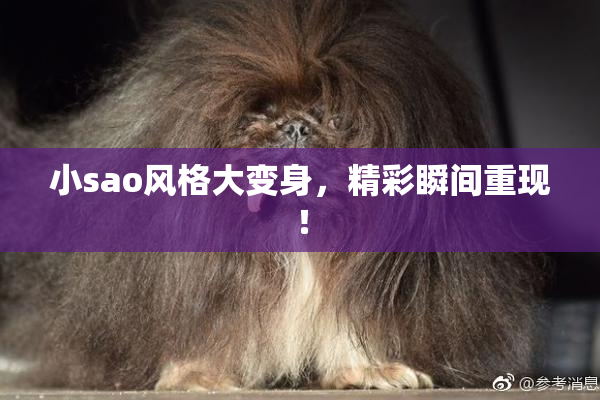 小sao风格大变身，精彩瞬间重现！