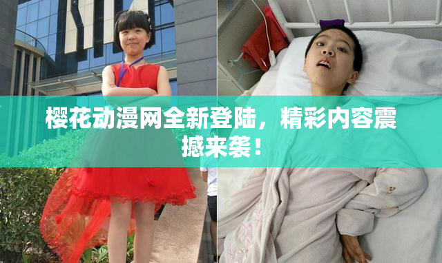 樱花动漫网全新登陆，精彩内容震撼来袭！