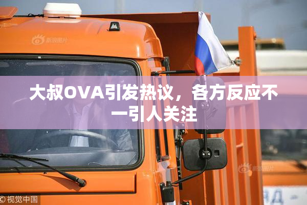 大叔OVA引发热议，各方反应不一引人关注
