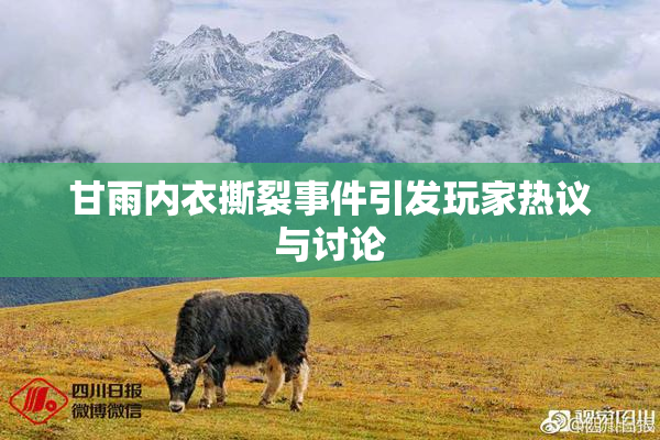 甘雨内衣撕裂事件引发玩家热议与讨论