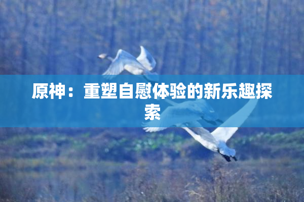 原神：重塑自慰体验的新乐趣探索