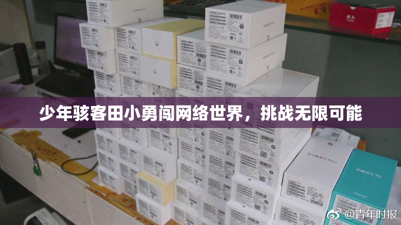 少年骇客田小勇闯网络世界，挑战无限可能
