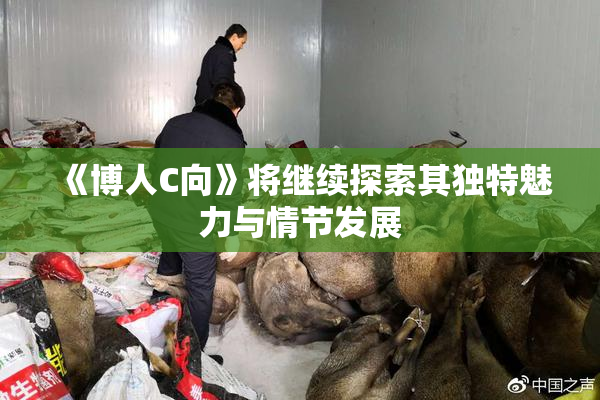 《博人C向》将继续探索其独特魅力与情节发展