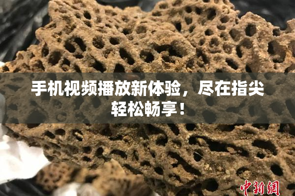 手机视频播放新体验，尽在指尖轻松畅享！