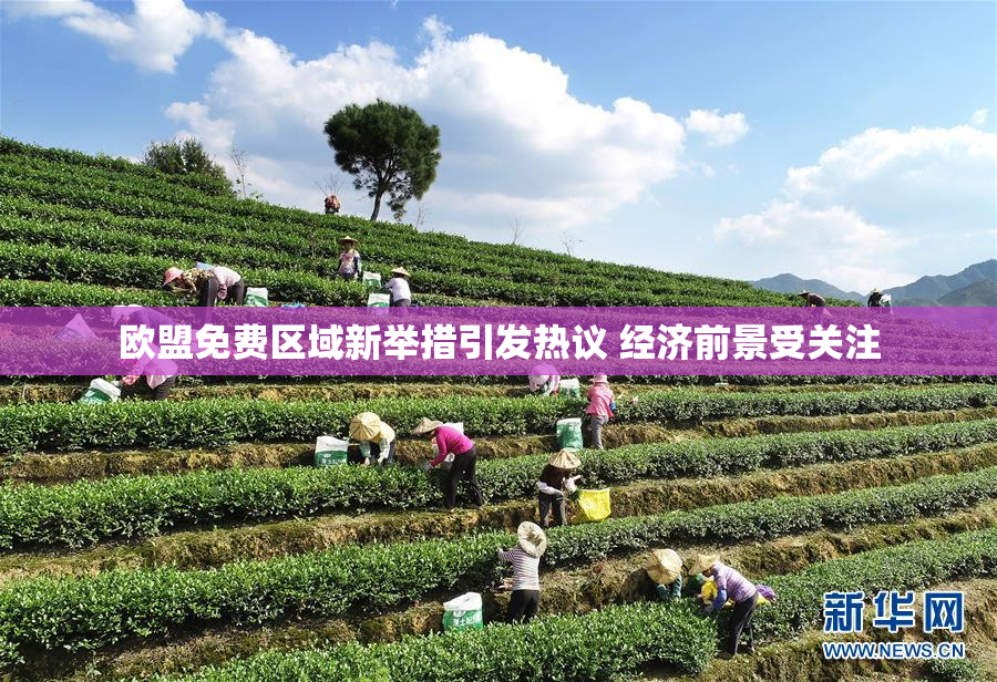 欧盟免费区域新举措引发热议 经济前景受关注