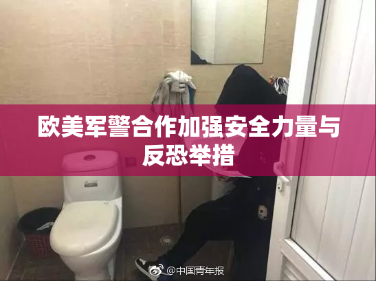 欧美军警合作加强安全力量与反恐举措