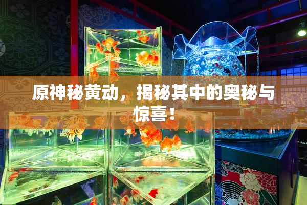 原神秘黄动，揭秘其中的奥秘与惊喜！
