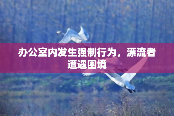 办公室内发生强制行为，漂流者遭遇困境