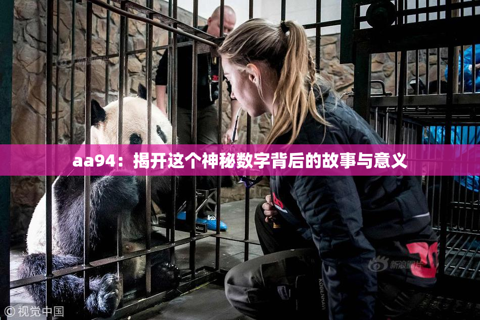 aa94：揭开这个神秘数字背后的故事与意义