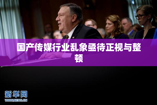 国产传媒行业乱象亟待正视与整顿
