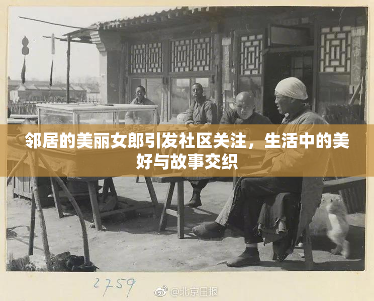 邻居的美丽女郎引发社区关注，生活中的美好与故事交织