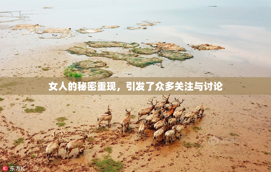 女人的秘密重现，引发了众多关注与讨论