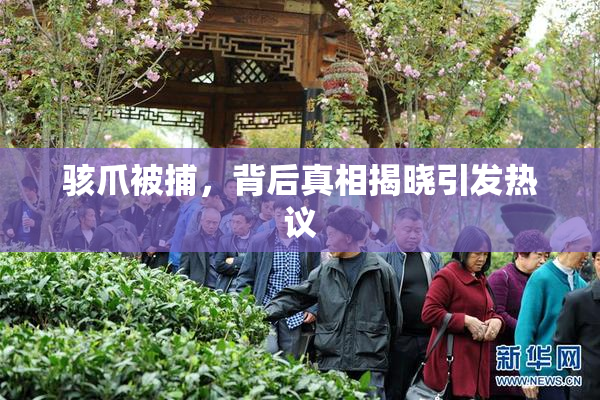骇爪被捕，背后真相揭晓引发热议