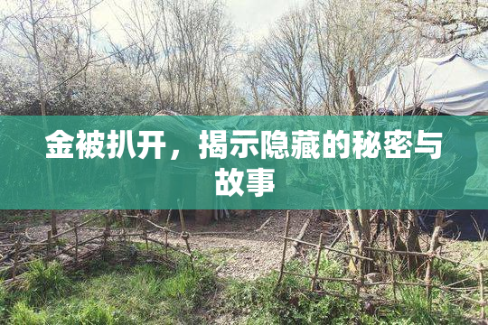 金被扒开，揭示隐藏的秘密与故事