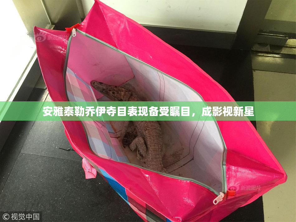安雅泰勒乔伊夺目表现备受瞩目，成影视新星