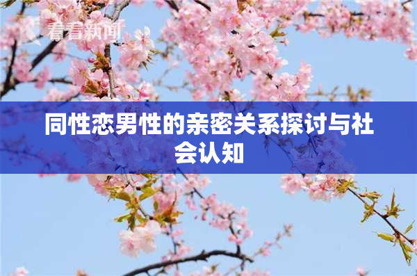 同性恋男性的亲密关系探讨与社会认知