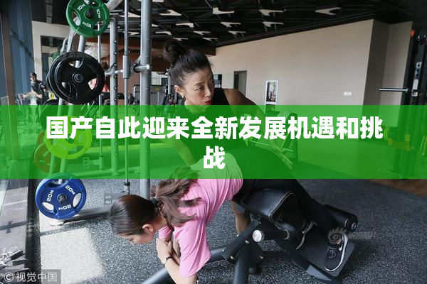 国产自此迎来全新发展机遇和挑战