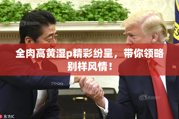 全肉高黄湿p精彩纷呈，带你领略别样风情！