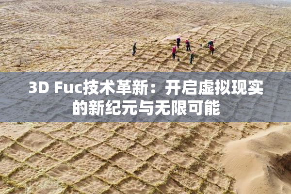 3D Fuc技术革新：开启虚拟现实的新纪元与无限可能