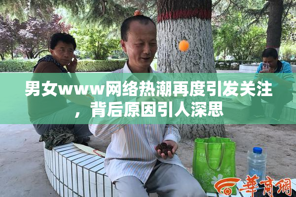 男女www网络热潮再度引发关注，背后原因引人深思