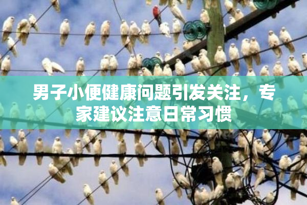 男子小便健康问题引发关注，专家建议注意日常习惯