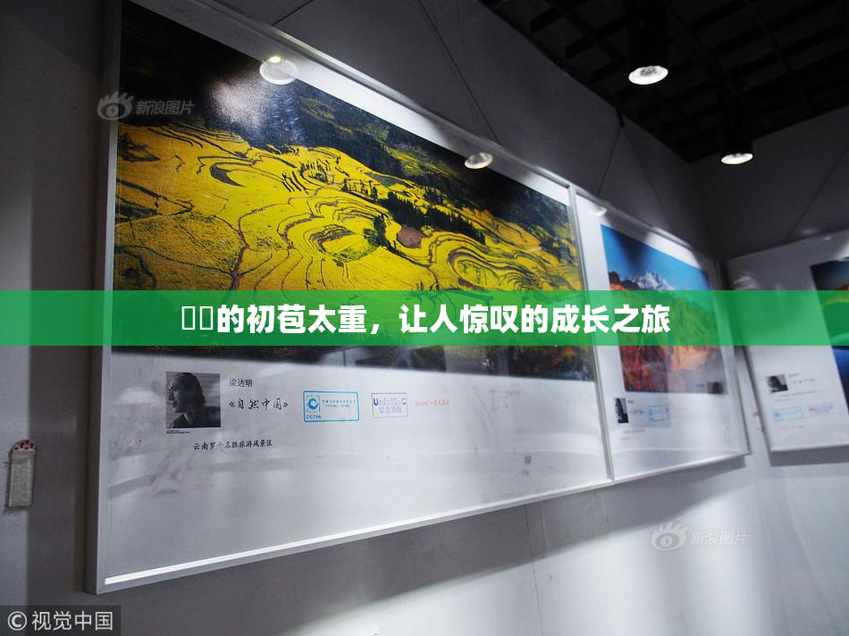 妺妺的初苞太重，让人惊叹的成长之旅