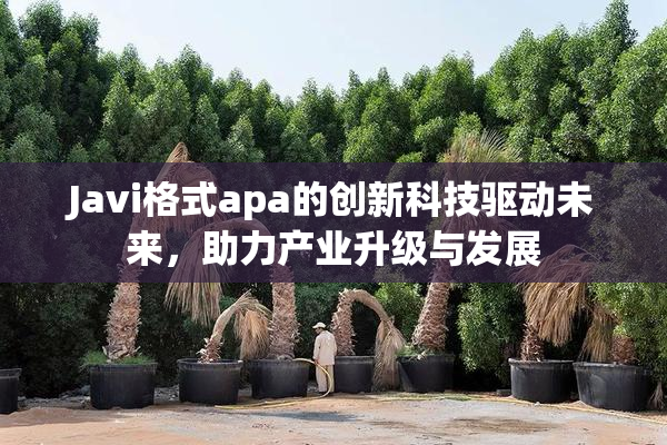 Javi格式apa的创新科技驱动未来，助力产业升级与发展