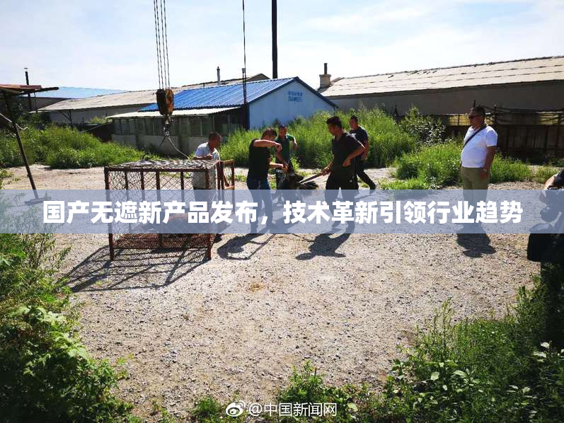 国产无遮新产品发布，技术革新引领行业趋势
