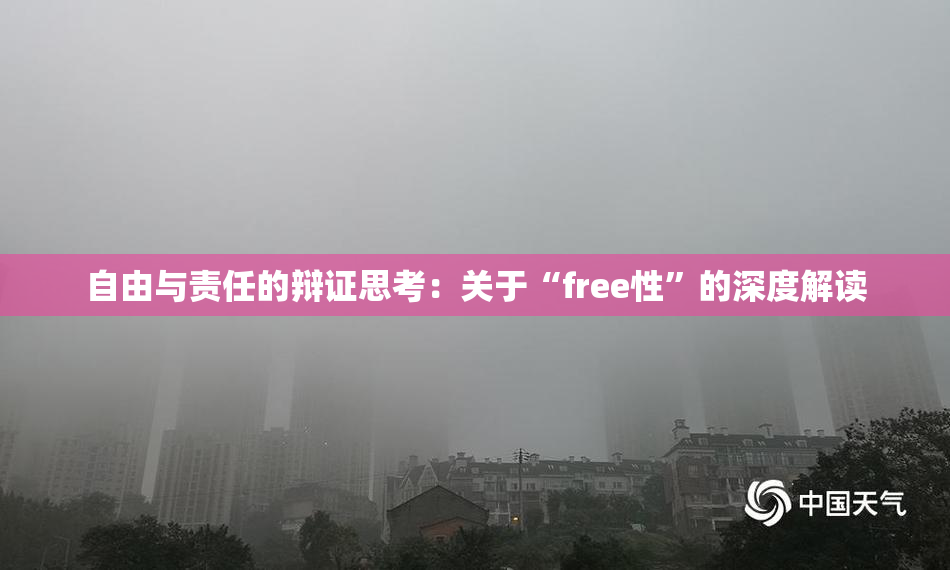 自由与责任的辩证思考：关于“free性”的深度解读