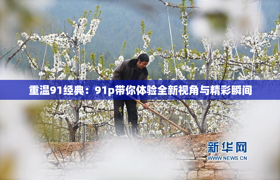 重温91经典：91p带你体验全新视角与精彩瞬间