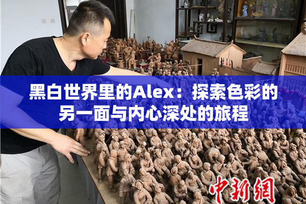 黑白世界里的Alex：探索色彩的另一面与内心深处的旅程