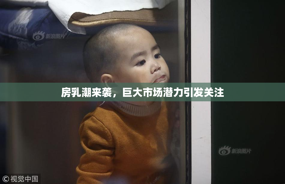 房乳潮来袭，巨大市场潜力引发关注