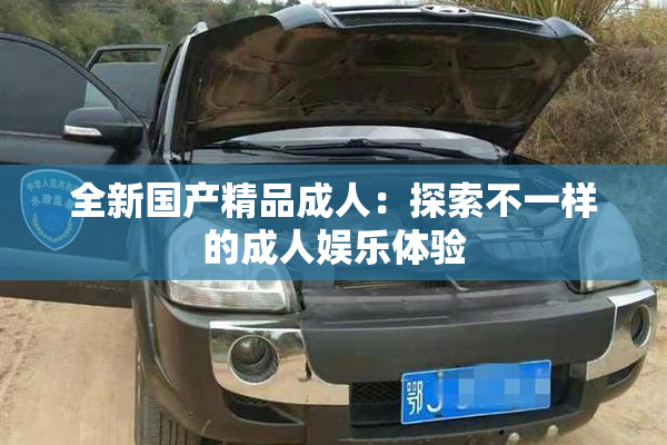 全新国产精品成人：探索不一样的成人娱乐体验