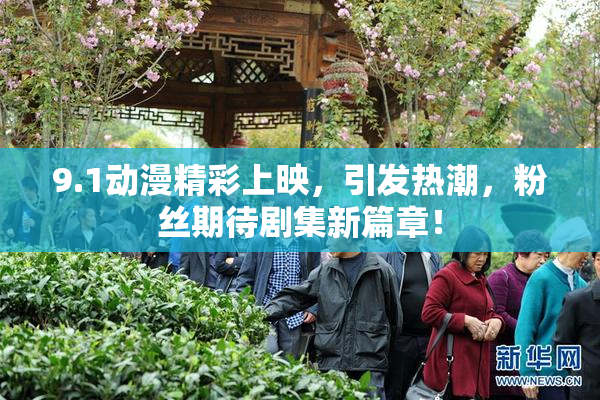 9.1动漫精彩上映，引发热潮，粉丝期待剧集新篇章！
