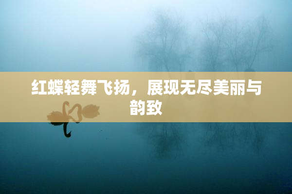 红蝶轻舞飞扬，展现无尽美丽与韵致
