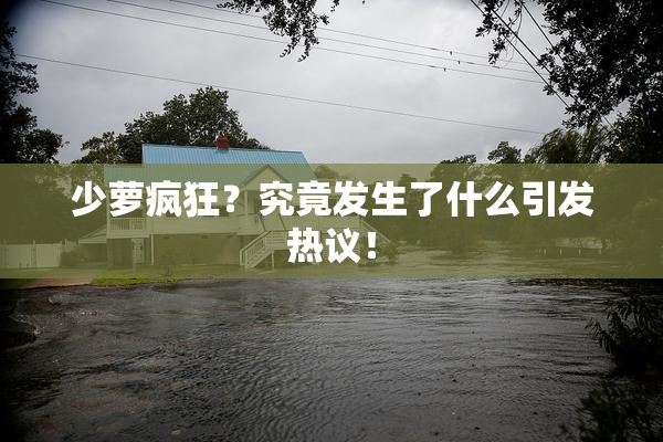 少萝疯狂？究竟发生了什么引发热议！