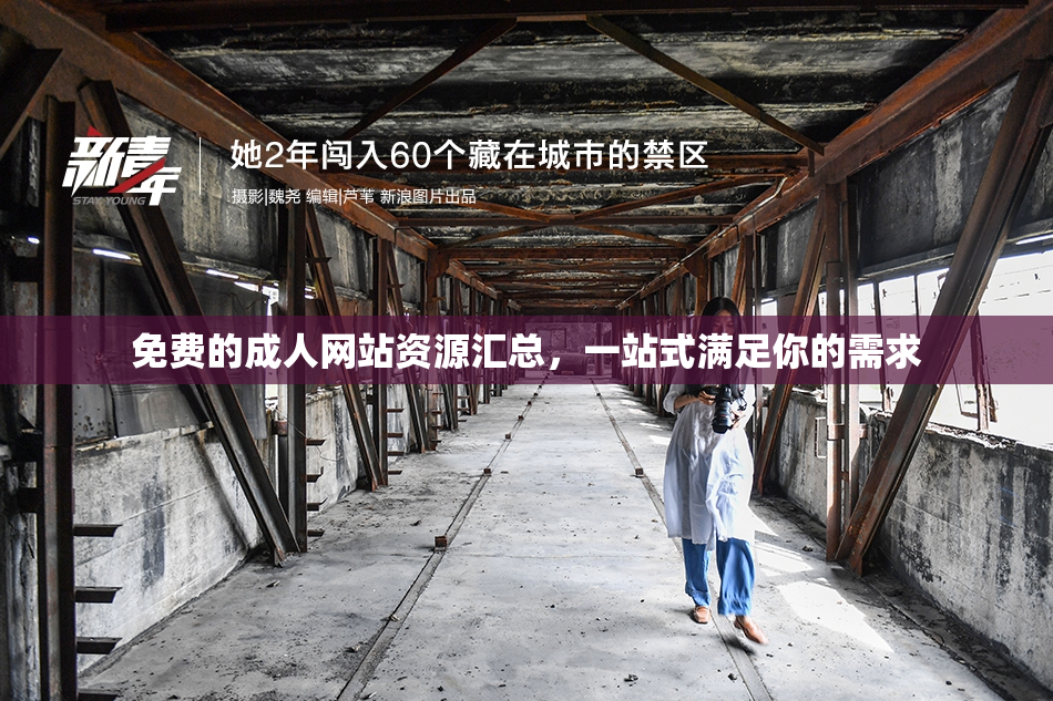 免费的成人网站资源汇总，一站式满足你的需求