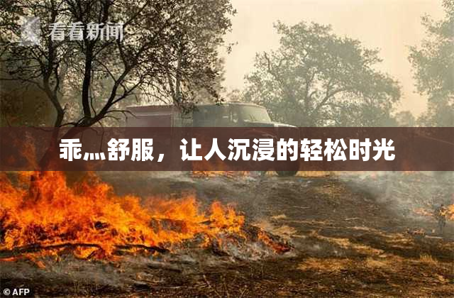 乖灬舒服，让人沉浸的轻松时光