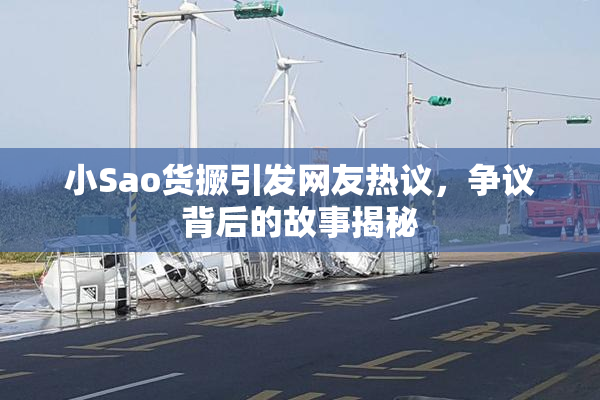 小Sao货撅引发网友热议，争议背后的故事揭秘