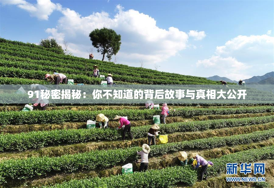 91秘密揭秘：你不知道的背后故事与真相大公开