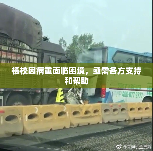 樱校因病重面临困境，亟需各方支持和帮助