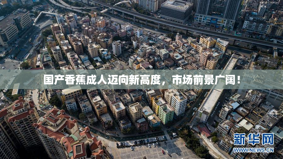 国产香蕉成人迈向新高度，市场前景广阔！