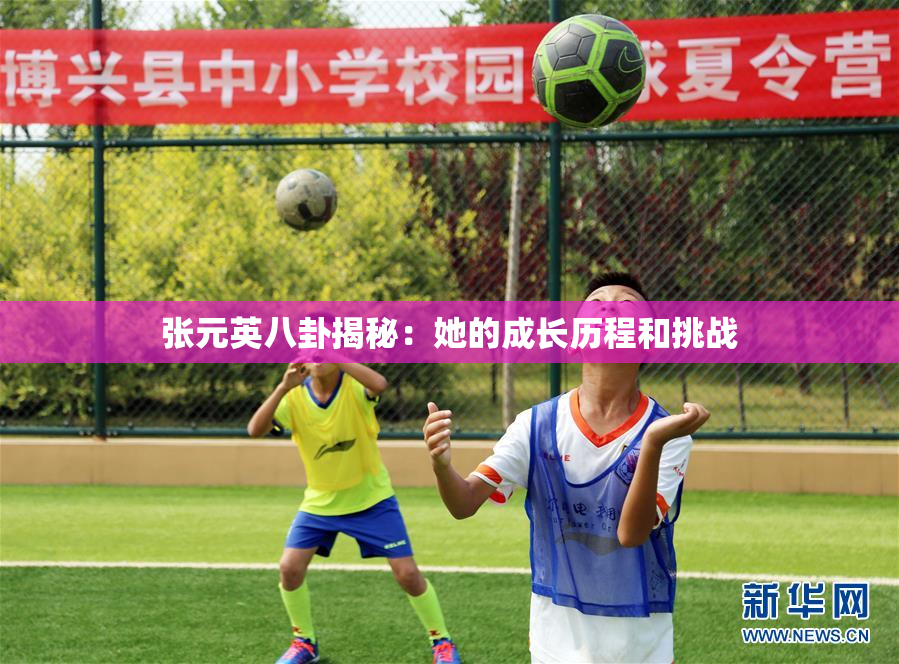 张元英八卦揭秘：她的成长历程和挑战