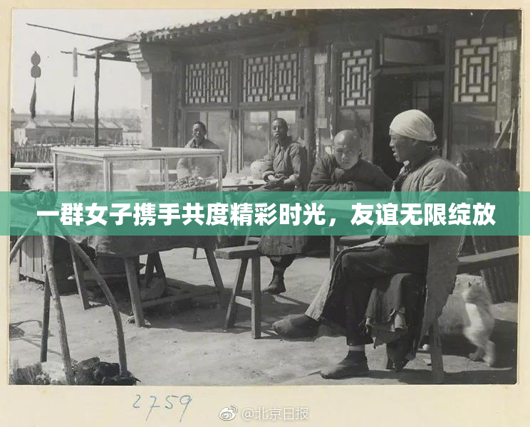 一群女子携手共度精彩时光，友谊无限绽放