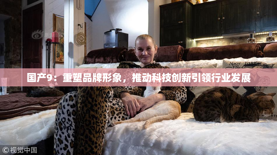 国产9：重塑品牌形象，推动科技创新引领行业发展
