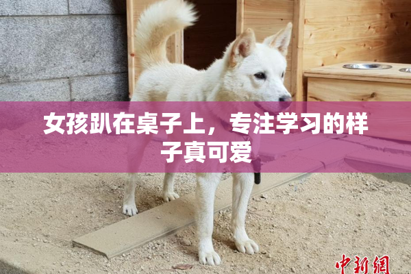 女孩趴在桌子上，专注学习的样子真可爱