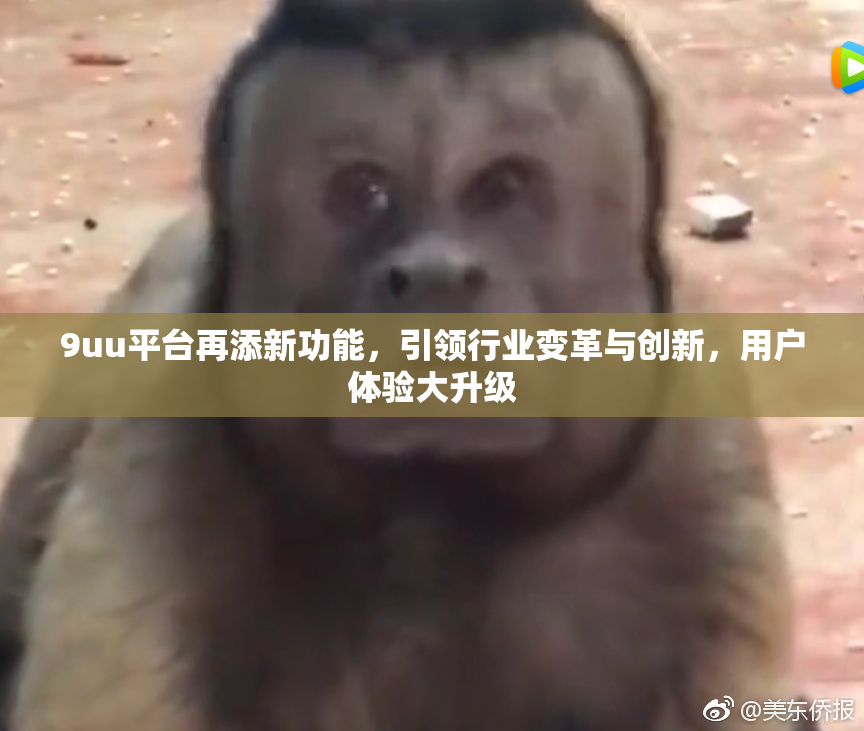9uu平台再添新功能，引领行业变革与创新，用户体验大升级