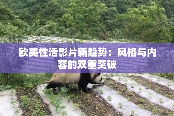 欧美性活影片新趋势：风格与内容的双重突破